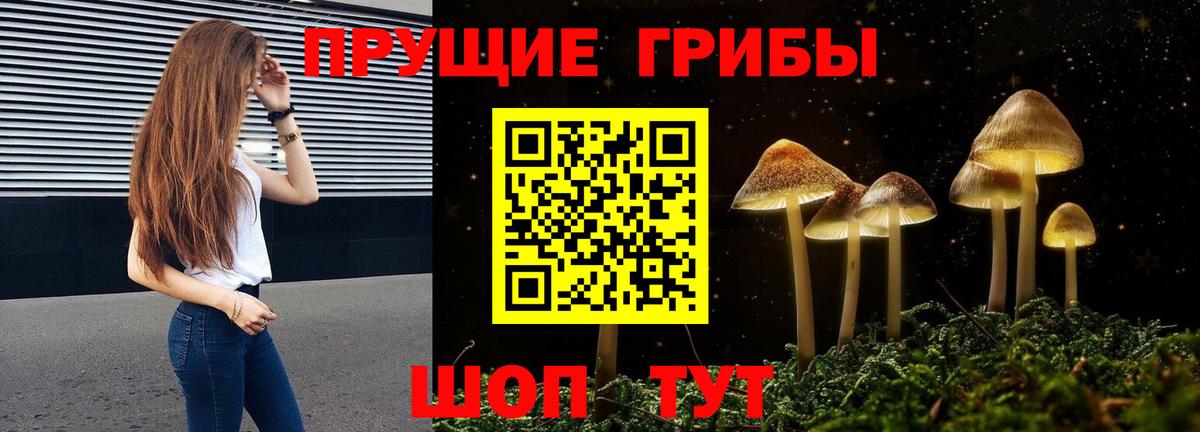 Псилоцибиновые грибы GOLDEN TEACHER  закладка  Камышин  Вход с VPN  Галлюциногенные грибы мухоморы 